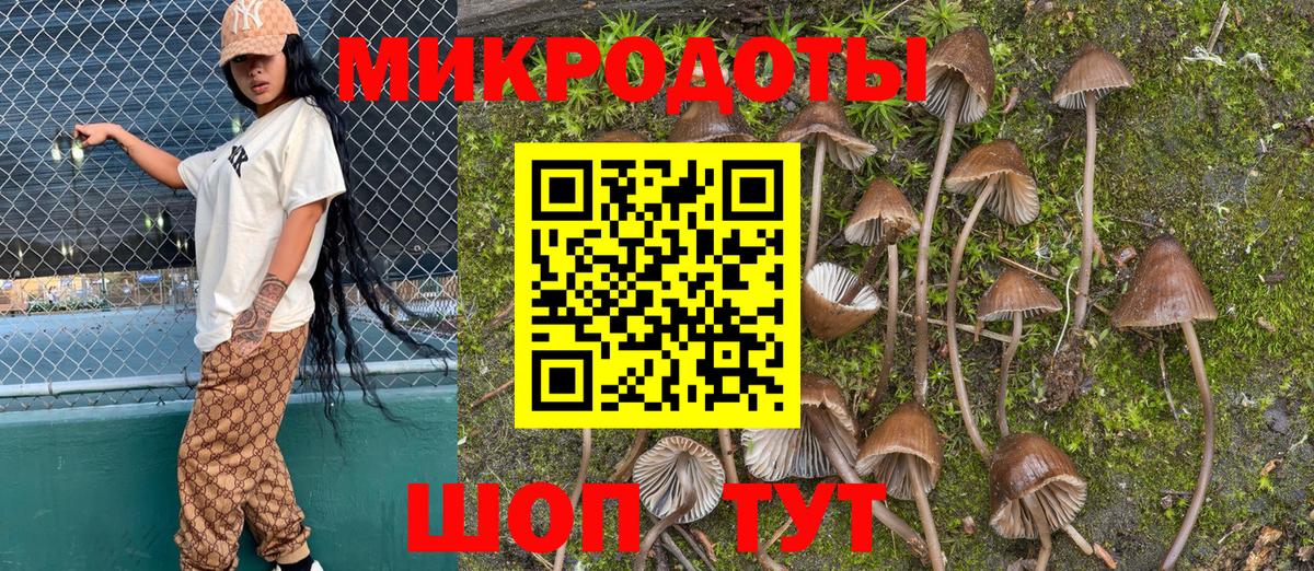 Псилоцибиновые грибы GOLDEN TEACHER Нижний Новгород