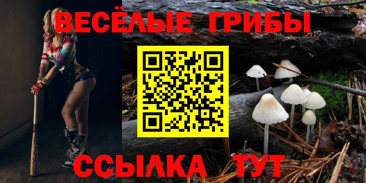 Галлюциногенные грибы GOLDEN TEACHER Нижний Новгород