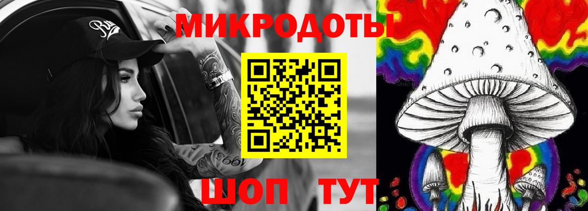 Нижний Новгород  Галлюциногенные грибы Psilocybine cubensis  Вход с VPN 